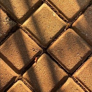 Meet your Posher, Orlando